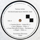 Various Artists - Teurastamo Electronic 2026 (Vinyl Only) 3
