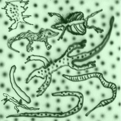 Vesu’s - List of Lizards IV (LP) (LP Excl) - SoundGround музикален магазин