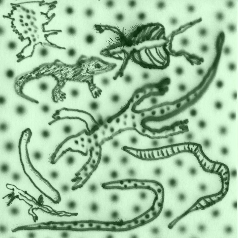 Vesu’s - List of Lizards IV (LP)
