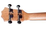 Концертно укулеле Arrow MH10 Mahogany Concert SET, Кафяво 4