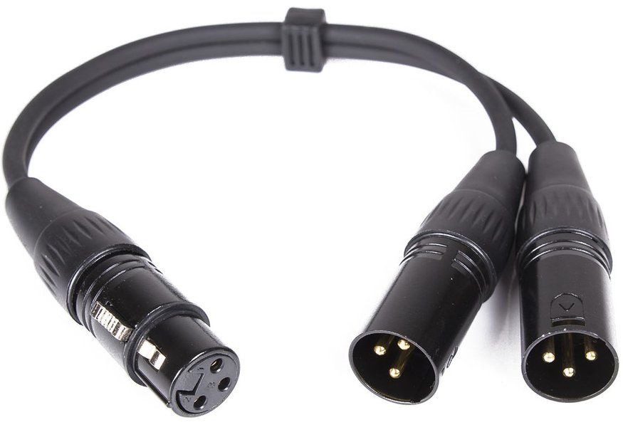 s.Cab Y099-03, XLR-M/2xXLR-F, 0.3m