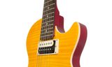 Epiphone SLASH "AFD" LP SPECIAL II Outfit 5