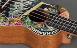 Сопрано укулеле Cascha HH 2600, Art Series, Urban 4