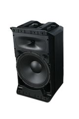 Wharfedale Pro TYPHON AX-12-MBT 6